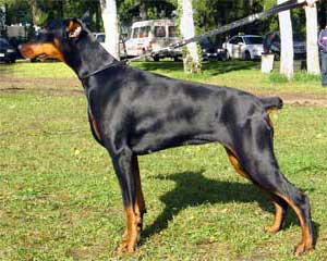MILLGRET ALLI-ALINA